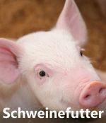 Siglmühle Schweinefutter