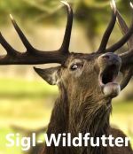 Sigl-Wildfutter
