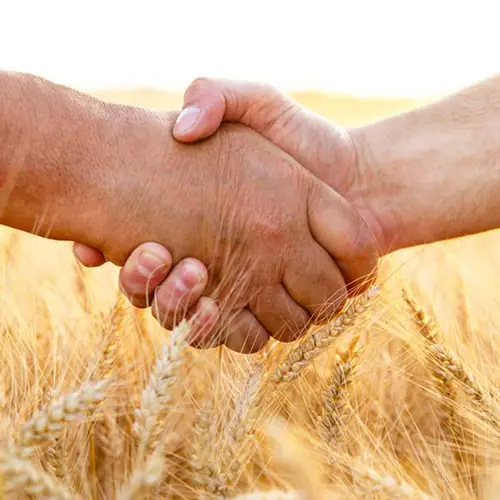 siglmuehle home handschlag