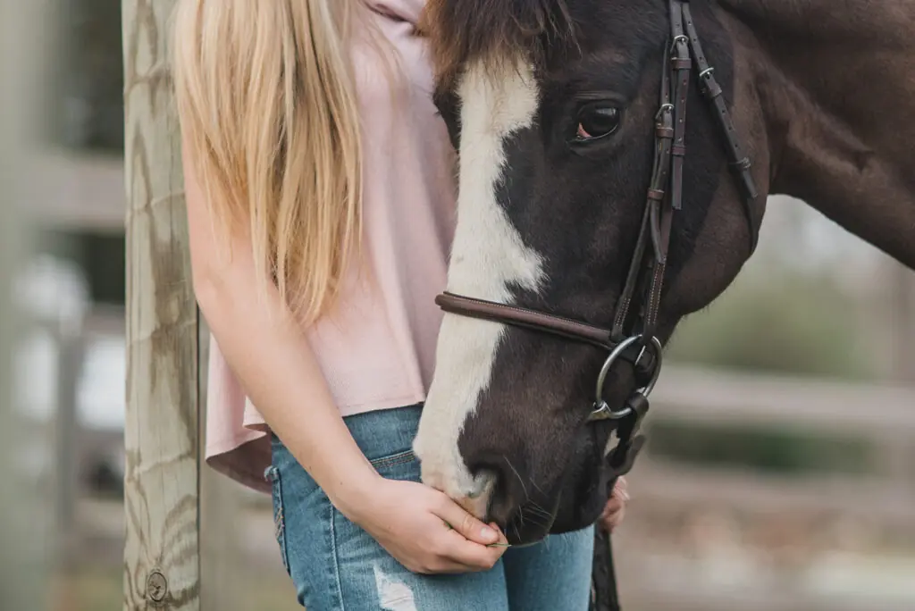 kirsten lachance d3p7NVgzGP4 unsplash